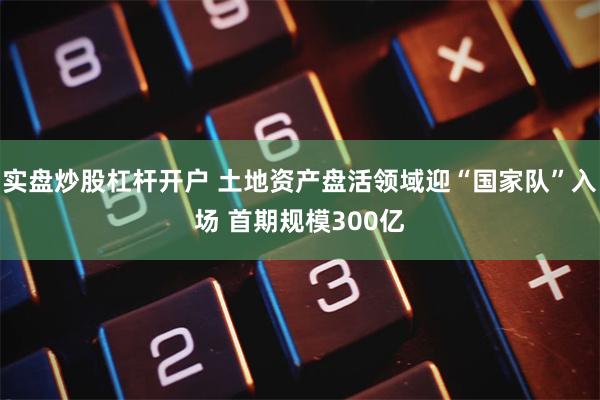 实盘炒股杠杆开户 土地资产盘活领域迎“国家队”入场 首期规模300亿