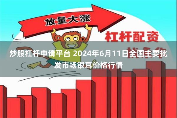 炒股杠杆申请平台 2024年6月11日全国主要批发市场银耳价格行情