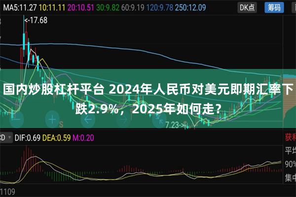 国内炒股杠杆平台 2024年人民币对美元即期汇率下跌2.