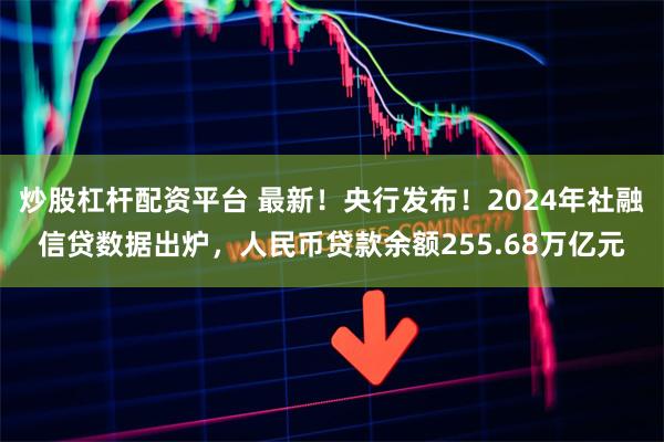 炒股杠杆配资平台 最新！央行发布！2024年社融信贷数据出炉，人民币贷款余额255.68万亿元